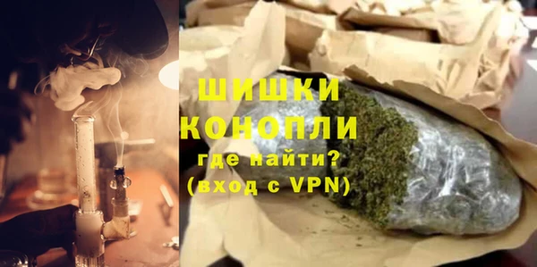 индика Нея