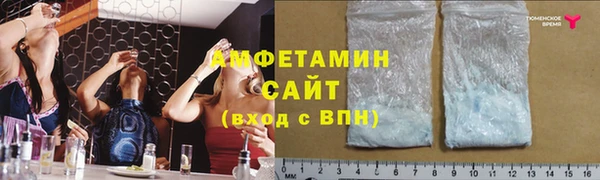 индика Нея
