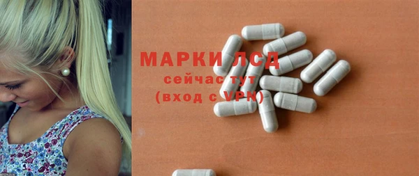 индика Нея