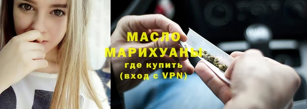 индика Нея