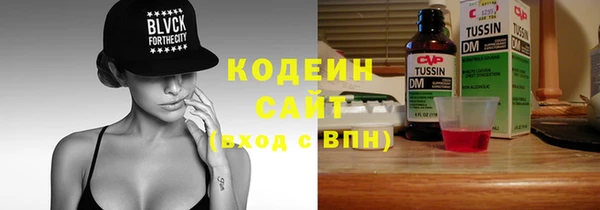 индика Нея