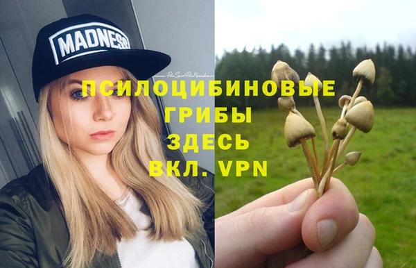 гидропоника Нефтекумск