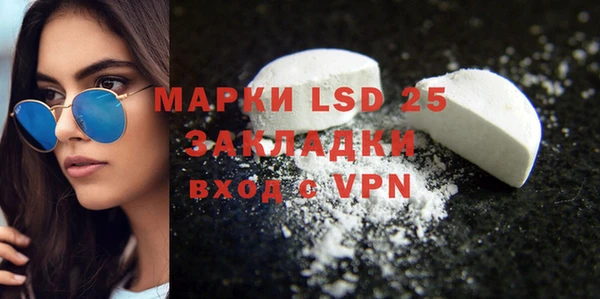 индика Нея