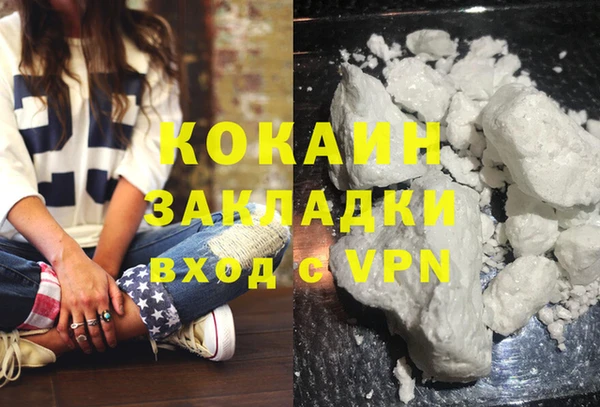 индика Нея