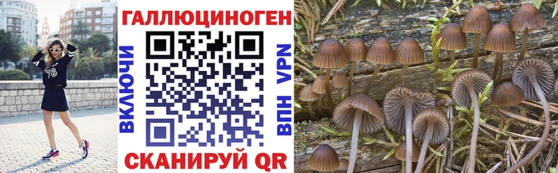 Галлюциногенные грибы MAGIC MUSHROOMS  Купить закладки  Циолковский 